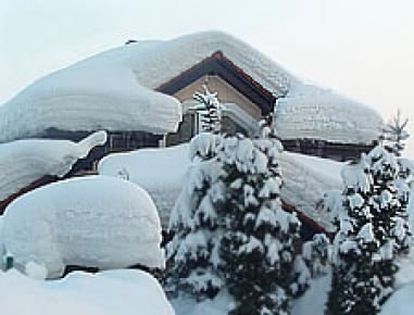 art20_3 (1).jpg art20_3 (1).jpg